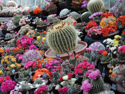 Part of the display from the Open Days 2011