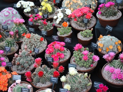 Part of the display from the Open Days 2011