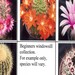Thumbnail image of Mixed Cacti, Beginners Windowsill Collection